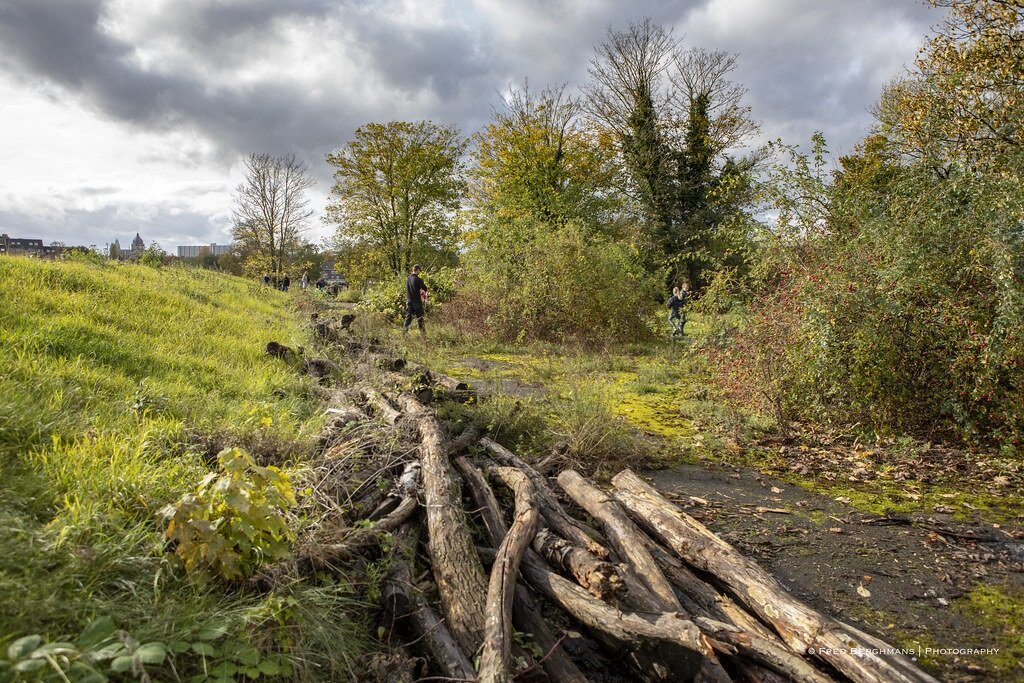 Natuurwerkdag in het Frontenpark - fotograaf Fred Berghmans