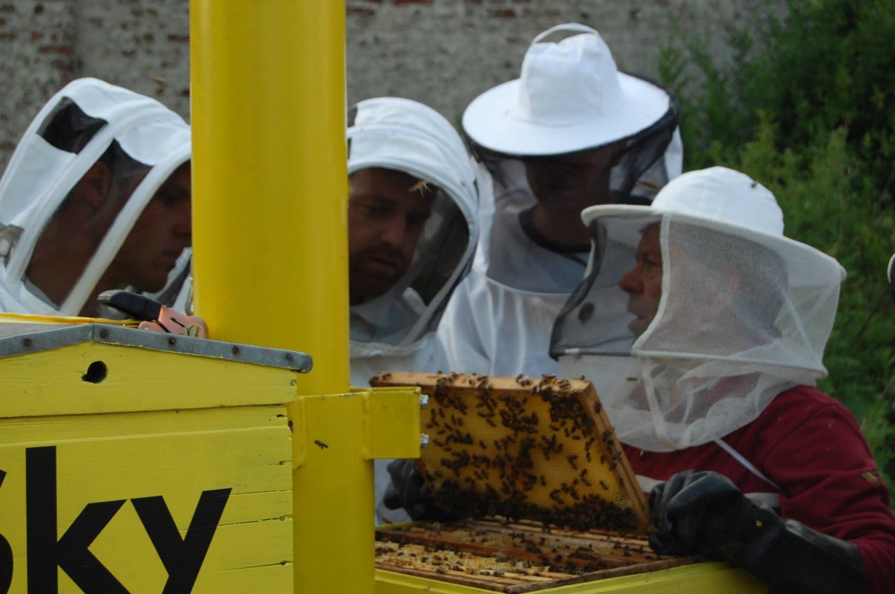 Honing verzamelen - foto Bureau Europa